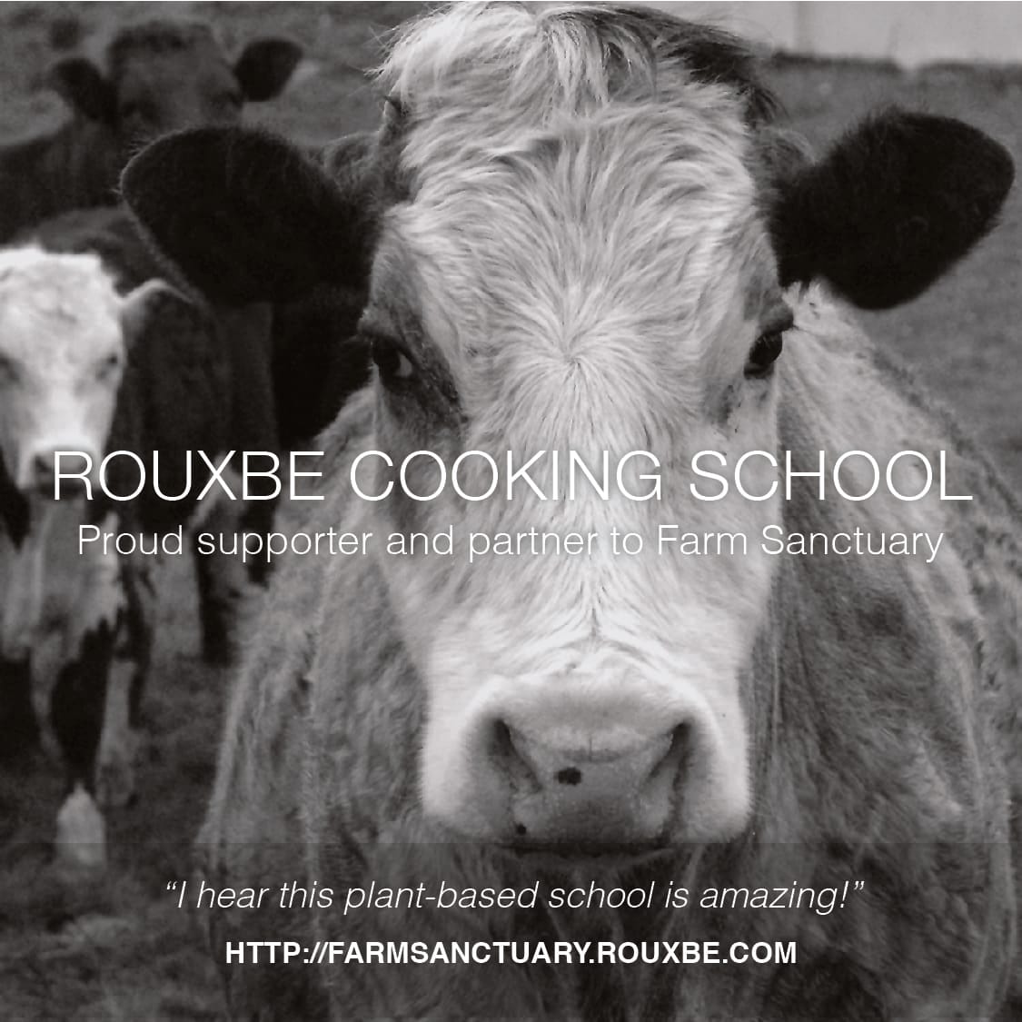 Farm Sanctuary Selects Rouxbe as Culinary Training Partner for Plant-Based Cooking.
