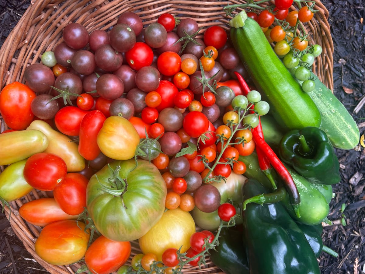 From Seed to Plate: Why Every Chef Needs a Garden (Even a Tiny One)